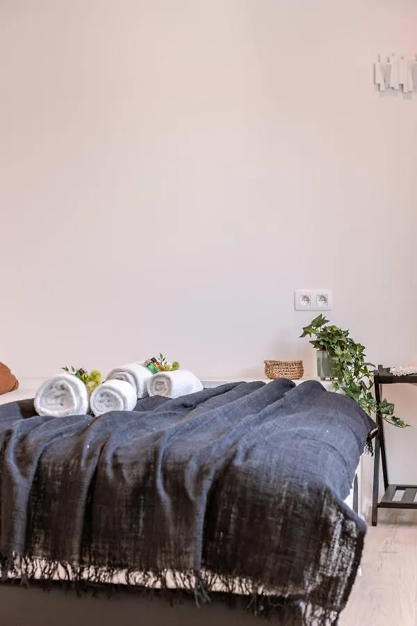 Duplex-Apartment With Terrace On Top Location In Ghent Apartment